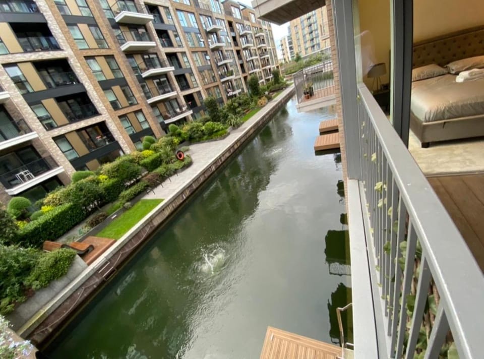 Lake view