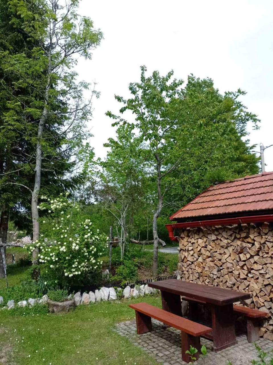 Day, Natural landscape, Garden, Garden view