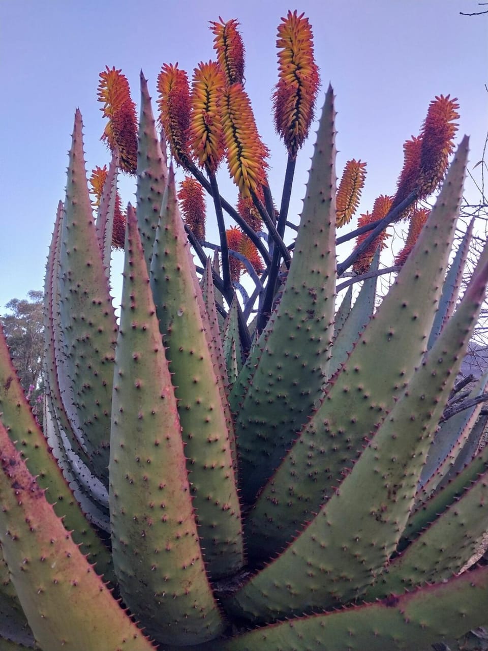 Midlands EcoLodge Villa in KwaZulu-Natal