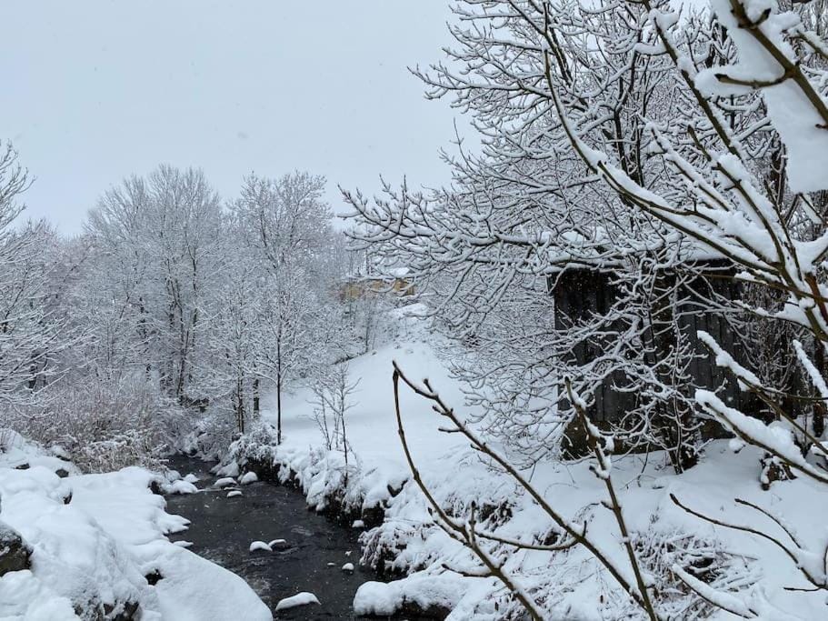 Natural landscape, Winter