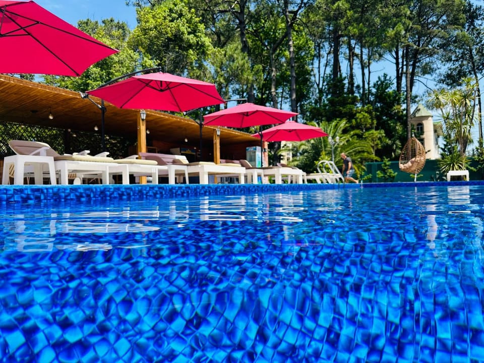 Pool view, Swimming pool, sunbed