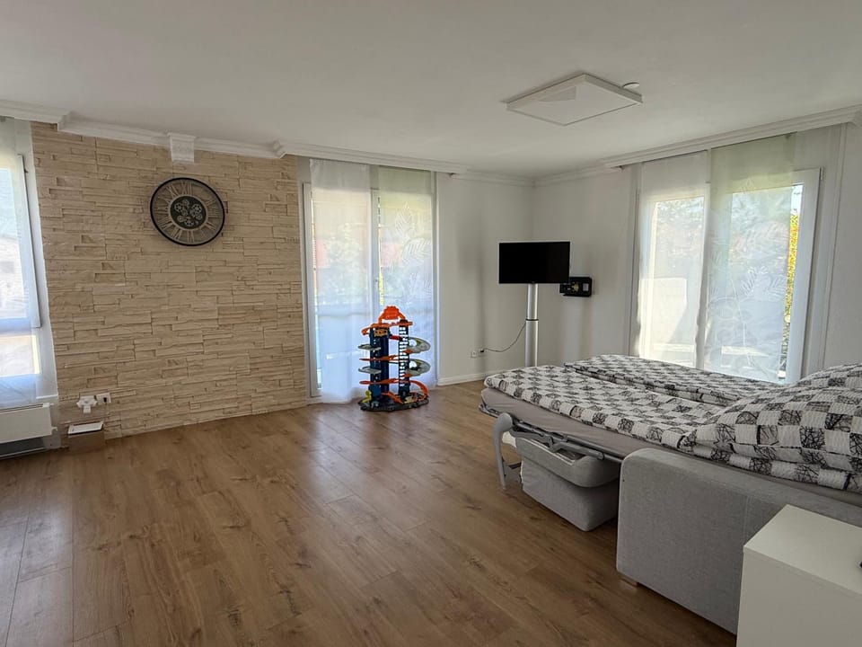 Mehrere Ferienwohnungen in Top Lage in der Nähe eines Rhein-Strandbads Apartment in Schaffhausen, Switzerland