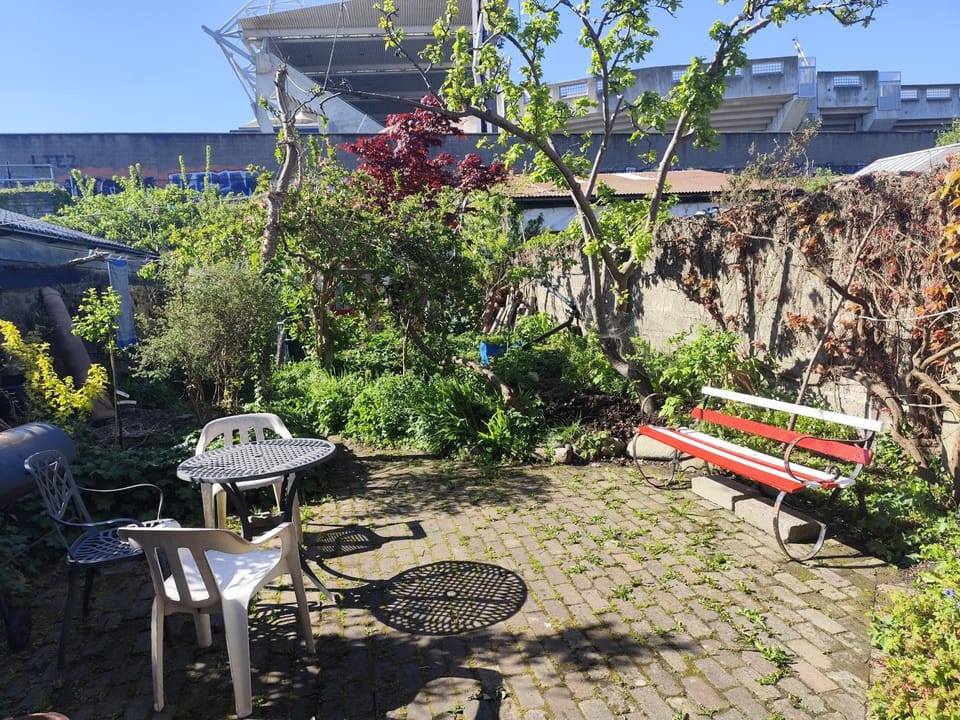 Garden view