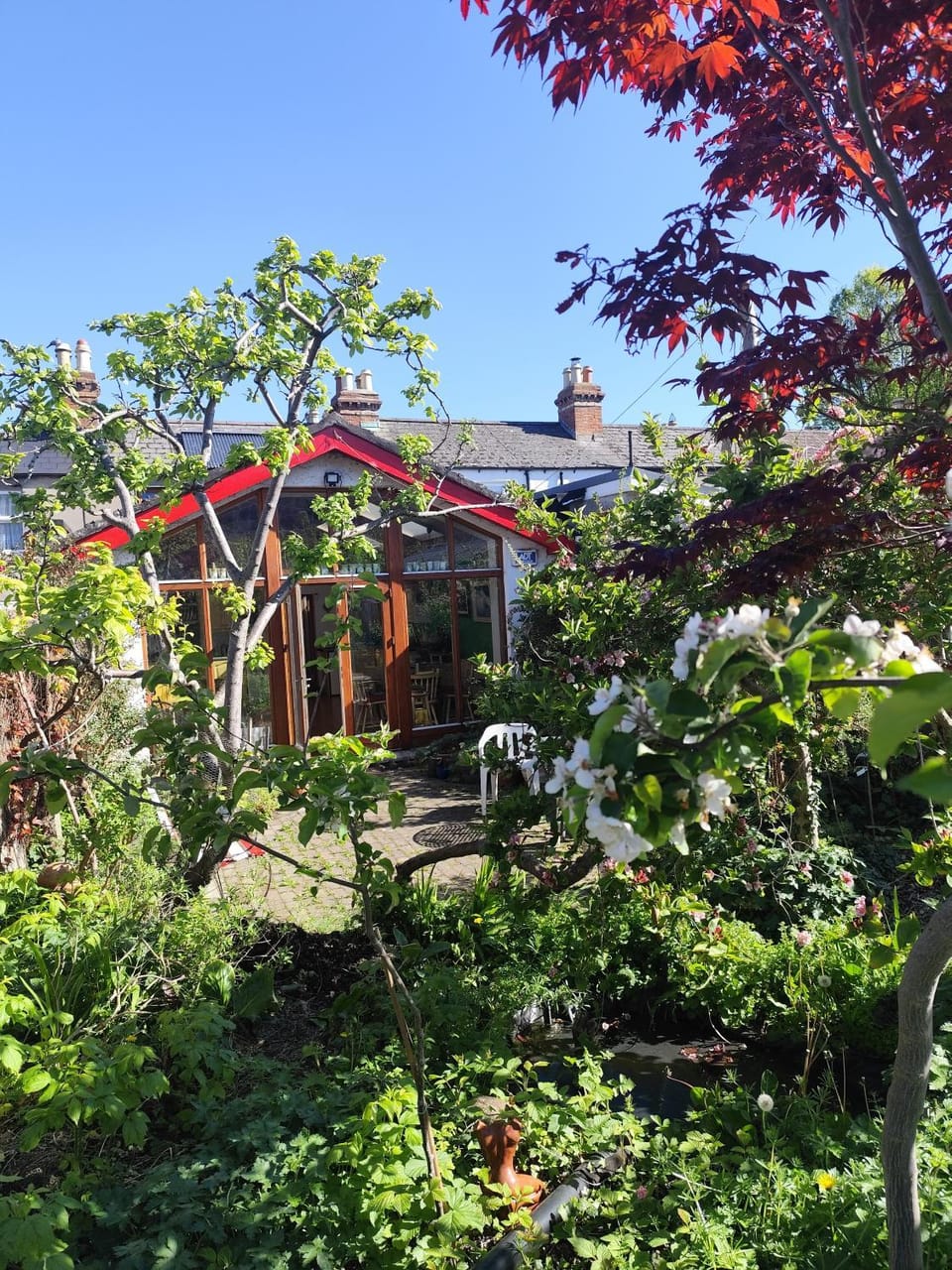 Garden view