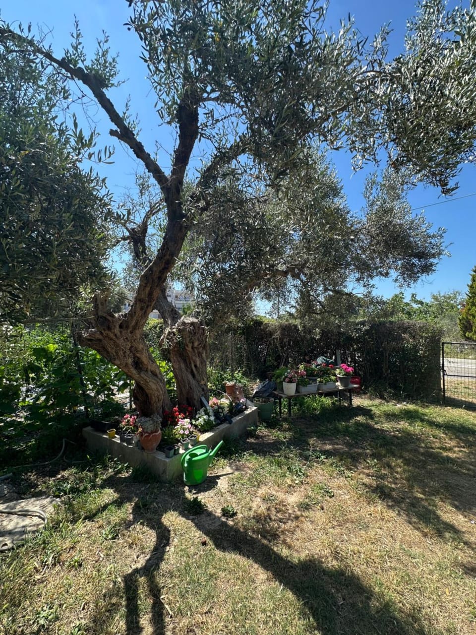 Seashore house Makri House in Evros, Greece