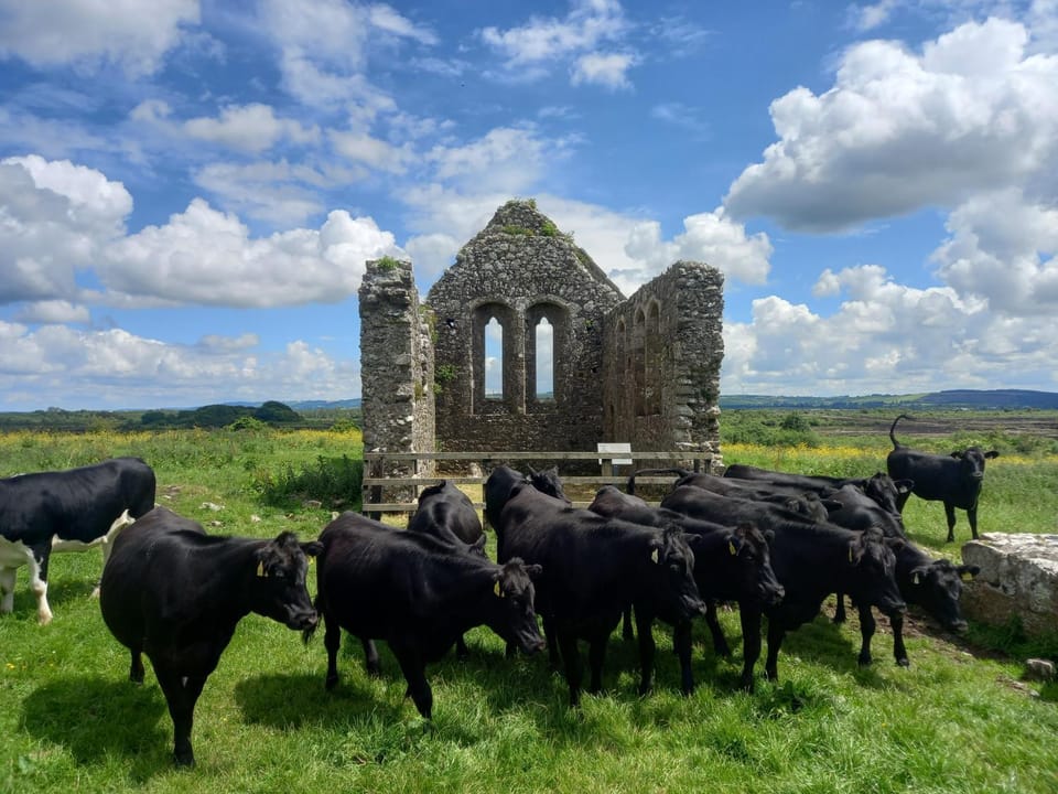 Kitty's Cottage - Horse and Jockey, Cashel House in Co. Tipperary, Ireland