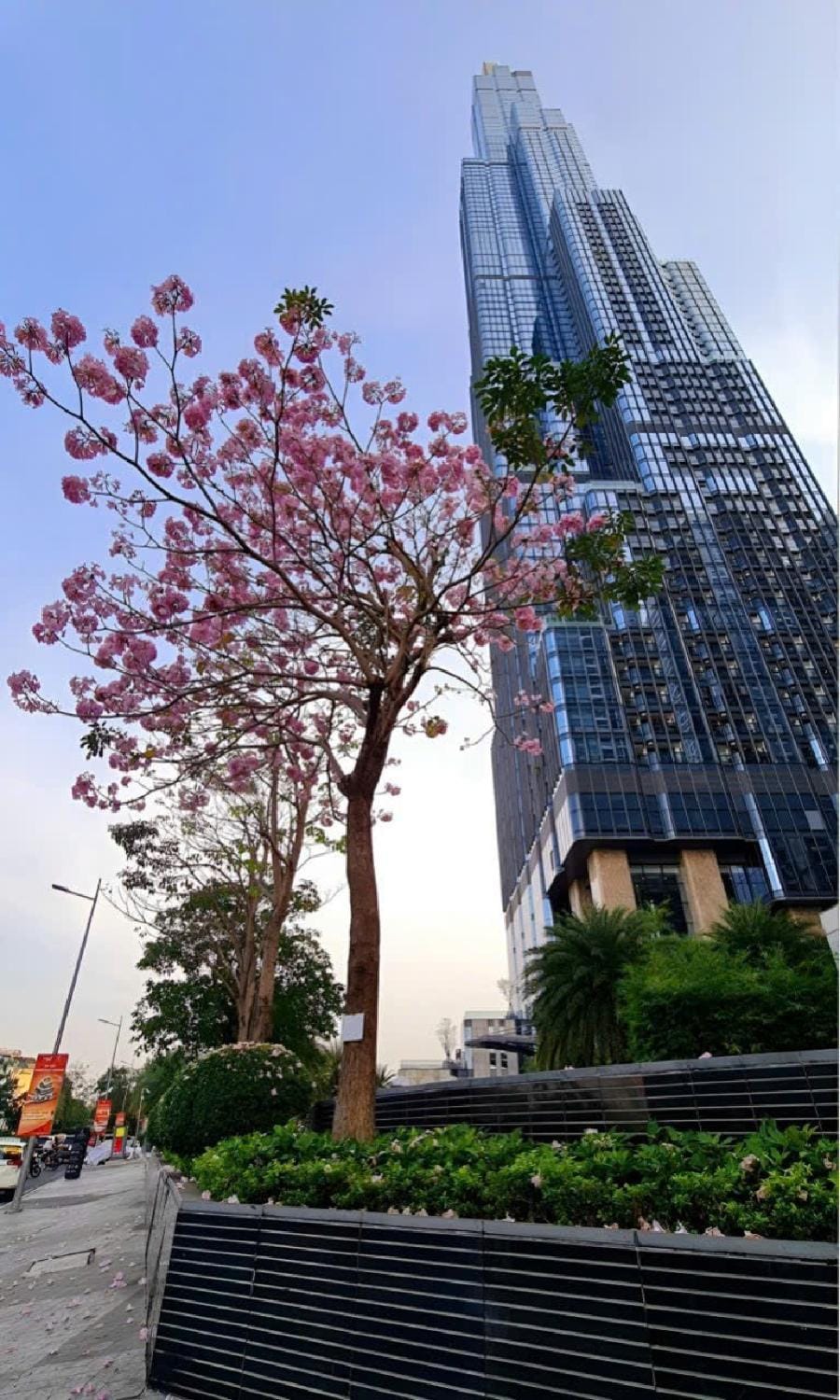 Property building, Spring, Day, City view