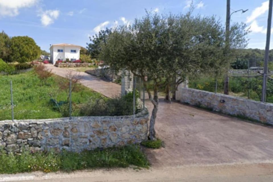 Property building, Garden, Garden view
