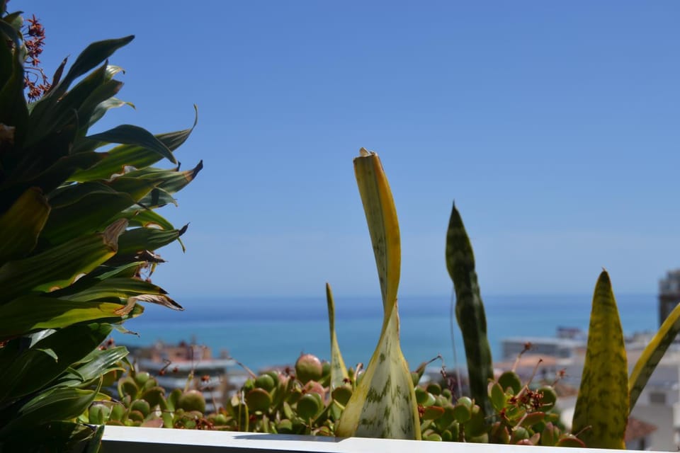 Day, Sea view