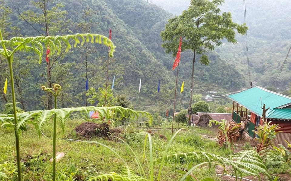 Garden view