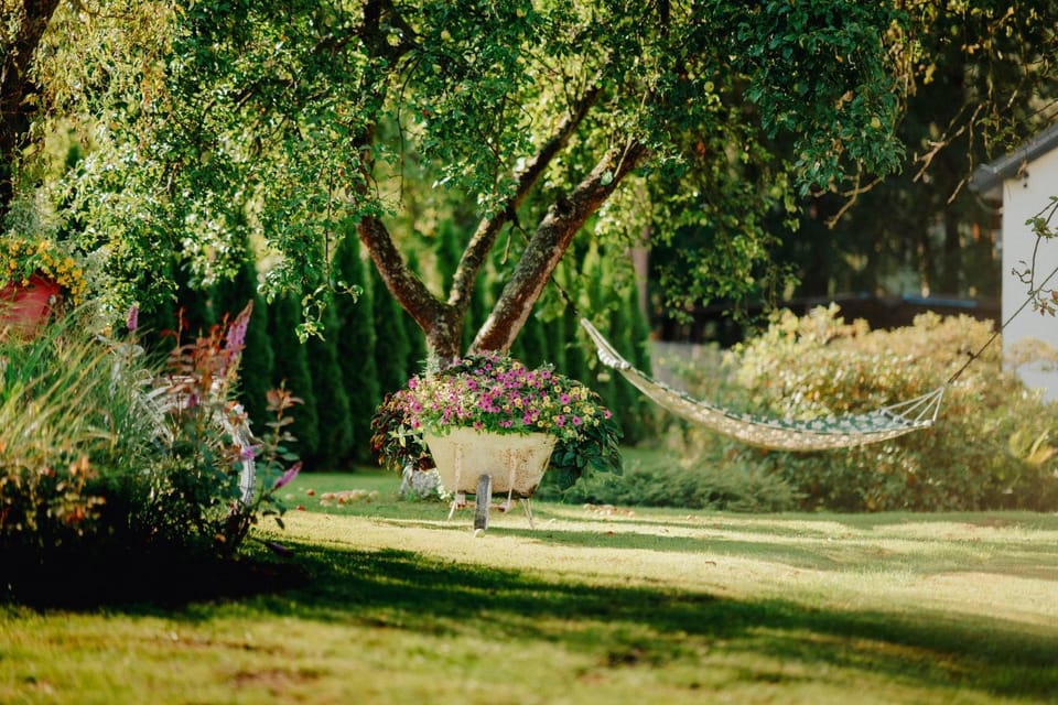 Summer, Garden