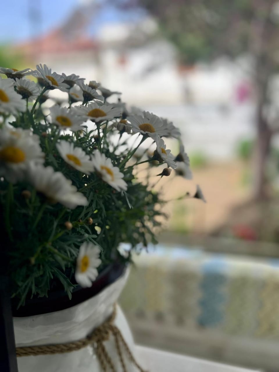 Garden, Garden view