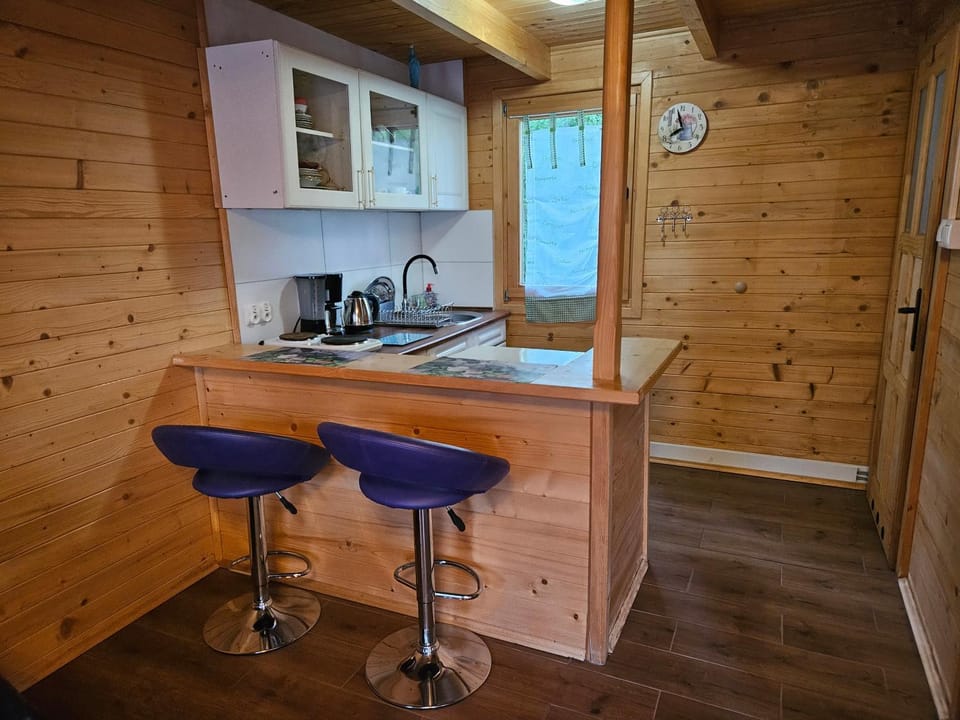 Kitchen or kitchenette, minibar, stove