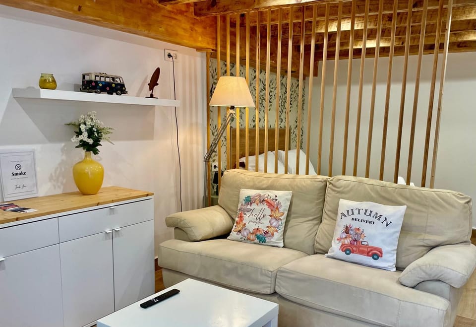 Studio COZY avec jardin au centre ville d'Hendaye à 10 minutes d'Espagne Apartment in Hendaye