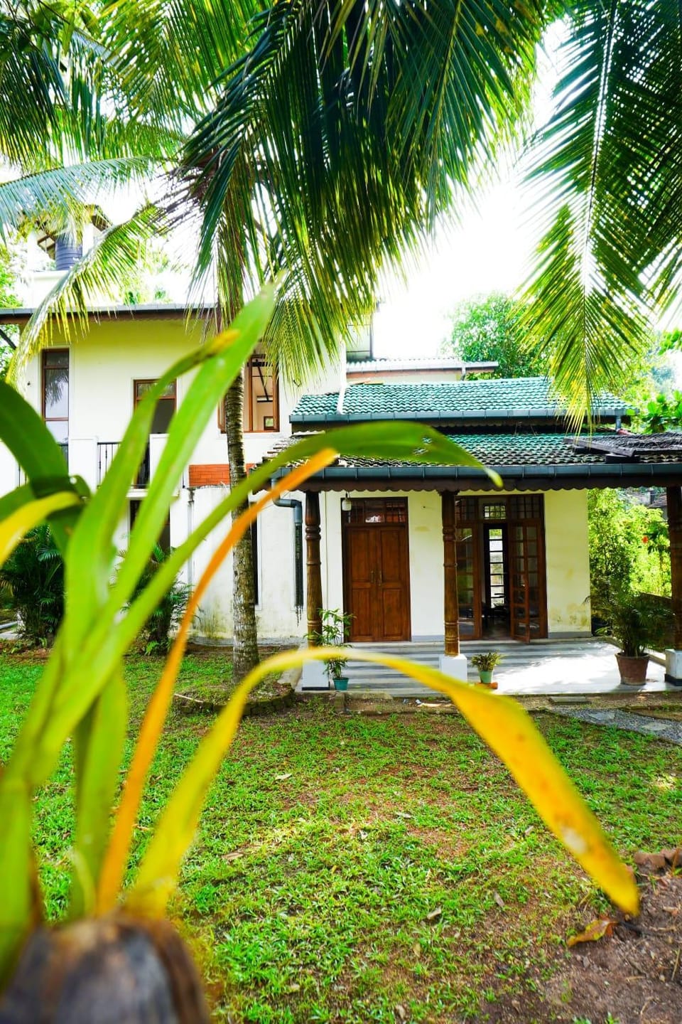 Natural landscape, Garden, Garden view