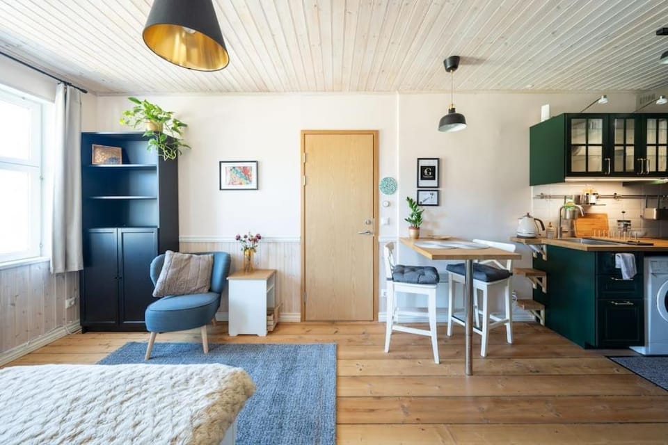 Garden Studio next to Telliskivi & Old Town Apartment in Tallinn