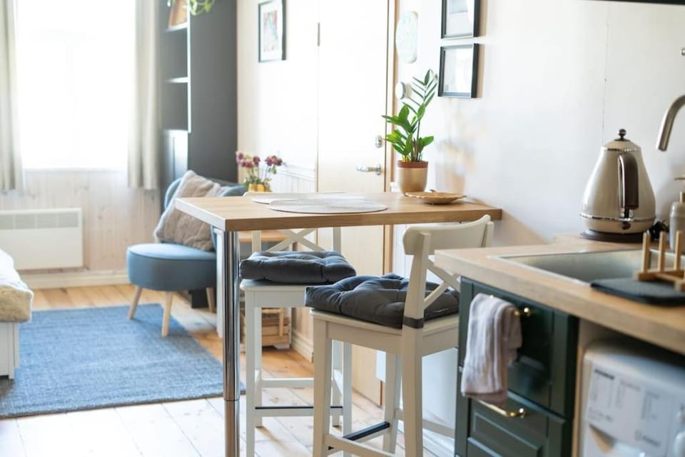 Garden Studio next to Telliskivi & Old Town Apartment in Tallinn