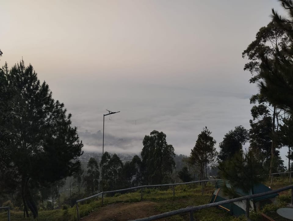 Natural landscape