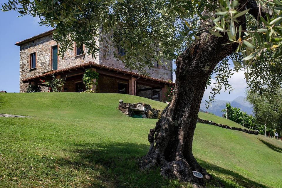 Garden, Garden view, Garden view