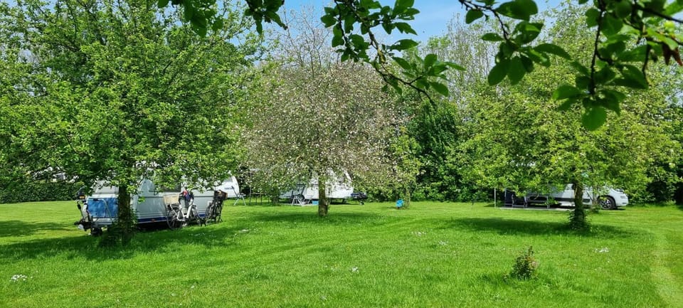 Chalet Hof van Autriche Campground/ 
RV Resort in Zeeland, Netherlands