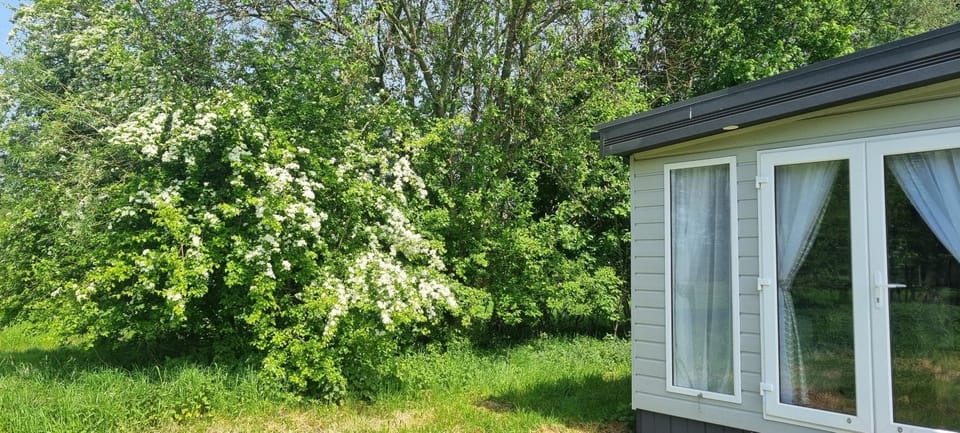 Chalet Hof van Autriche Campground/ 
RV Resort in Zeeland, Netherlands