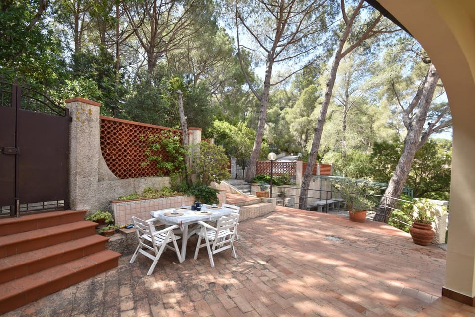 Property building, Garden, Garden view