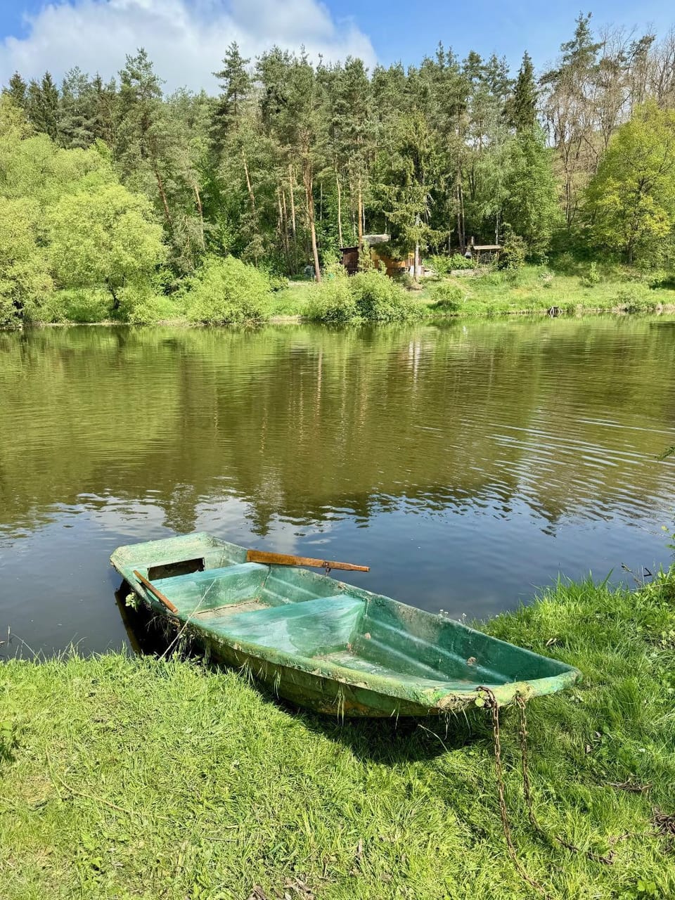 Spring, Natural landscape, Activities, River view