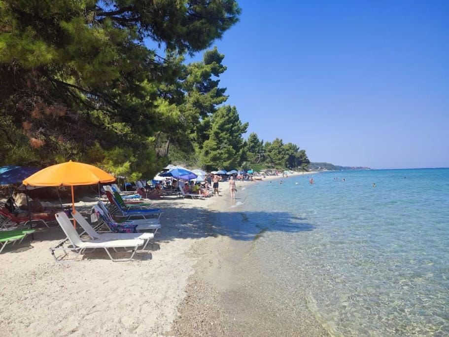 Blue Heaven Villa House in Halkidiki