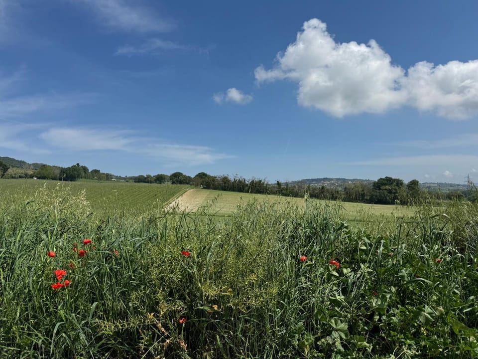 Agriturismo Biancarda Apartment in Marche