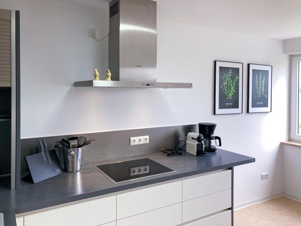 Coffee/tea facilities, Kitchen or kitchenette, stove