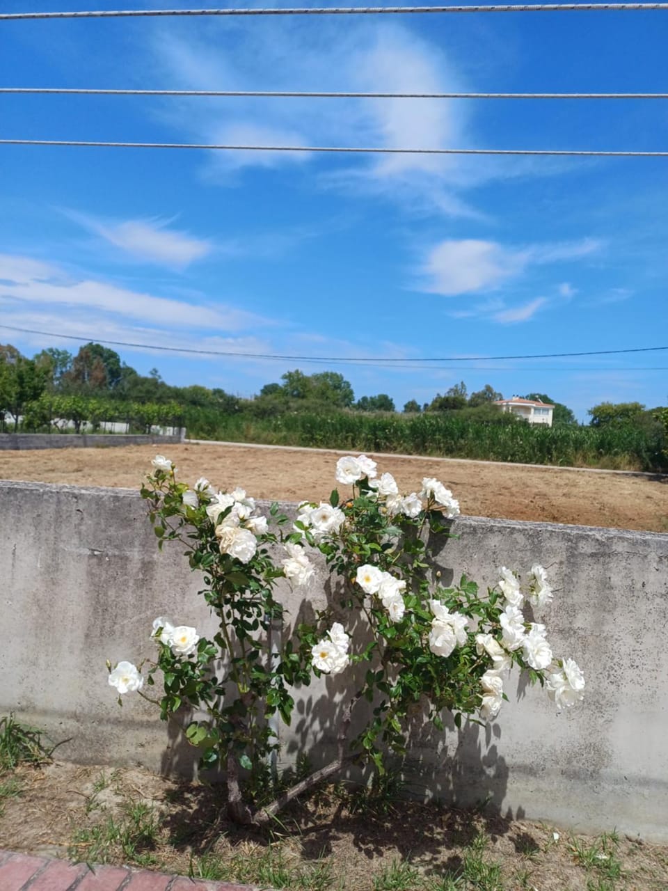 Day, Natural landscape