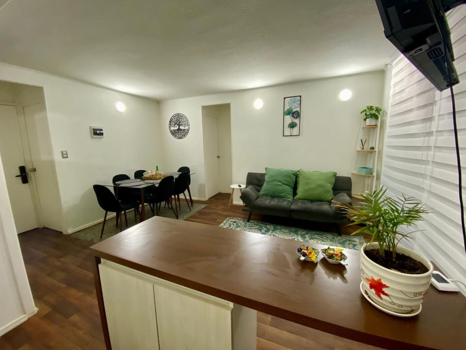 Departamento Mirador al Volcán, Pucón Apartment in Pucon