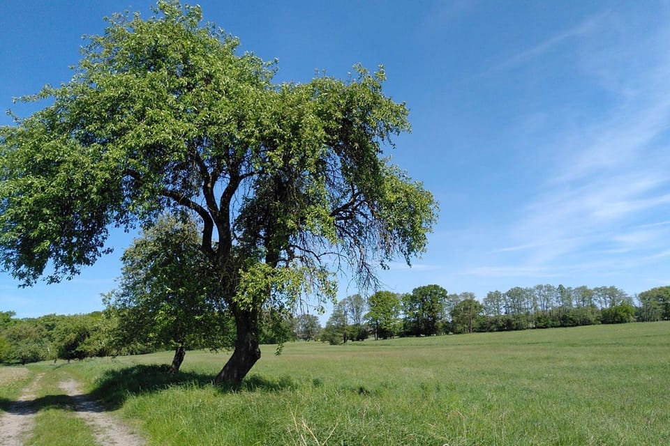 Neighbourhood, Natural landscape