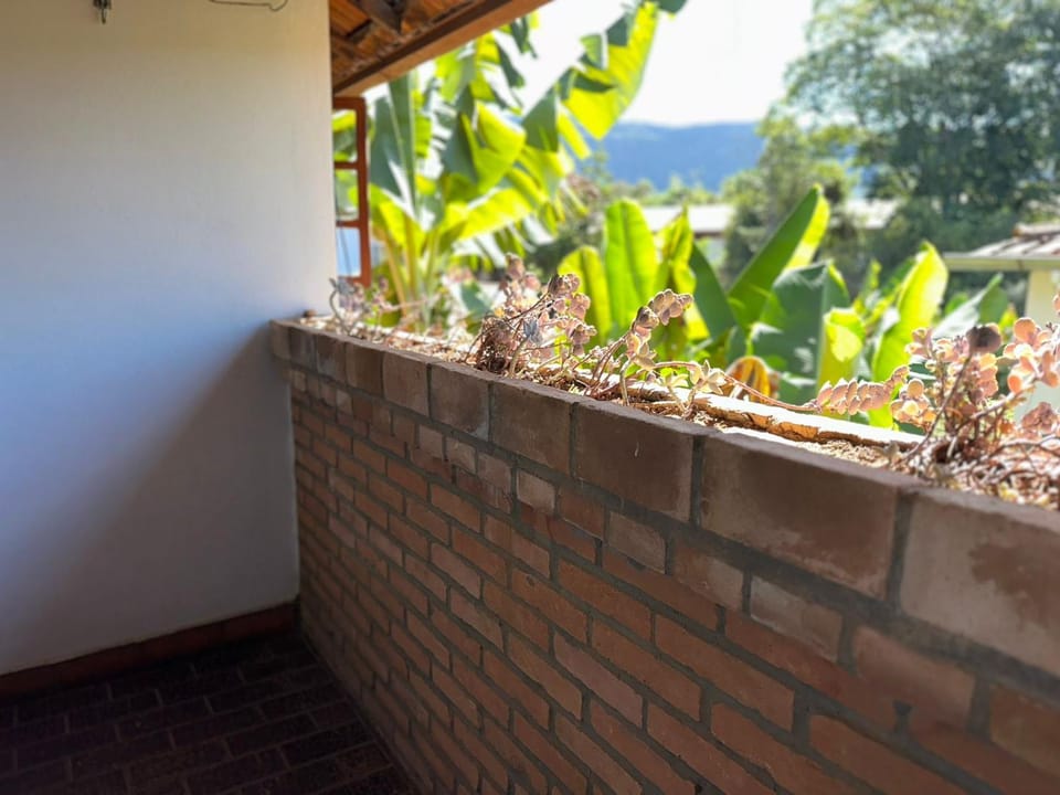 Spring, Day, Garden view