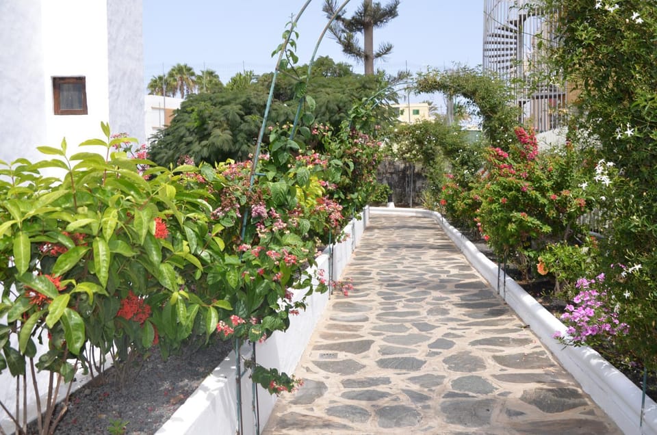 Alsol Las Orquídeas Apartment in Maspalomas