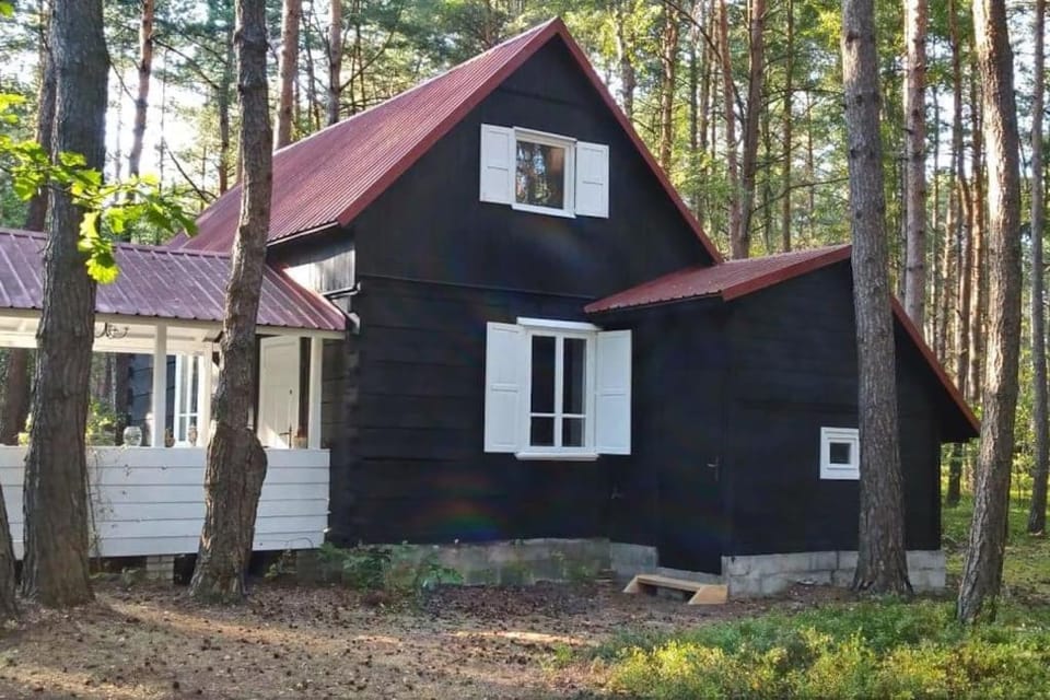 Wilga - urokliwy dom z bala (50 km od Warszawy) House in Masovian Voivodeship