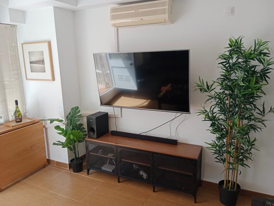 TV and multimedia