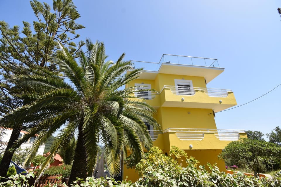 Property building, Garden, Garden view