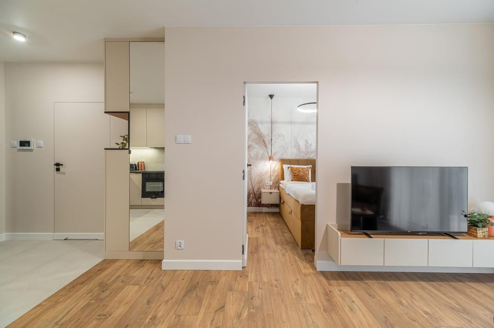 TV and multimedia, wardrobe