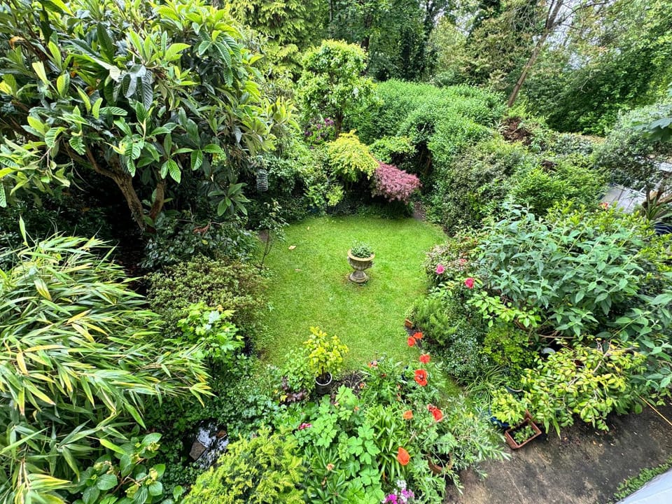 Exceptionally Large Newly-Refurbished 1-Bed Flat in Hither Green Apartment in London Borough of Lewisham