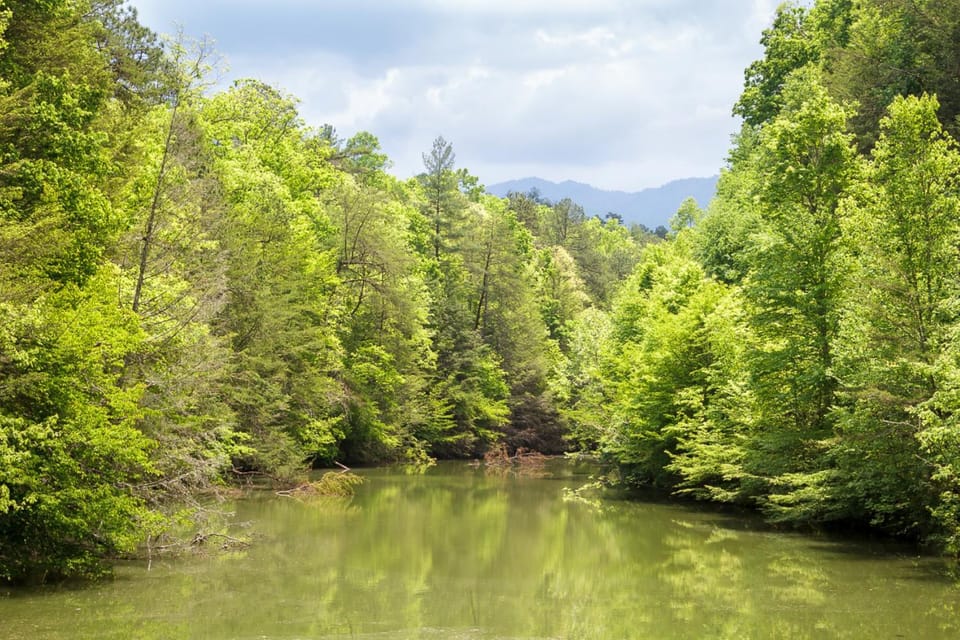 Trail's End by Stony Brook Cabins Cabin in Pittman Center