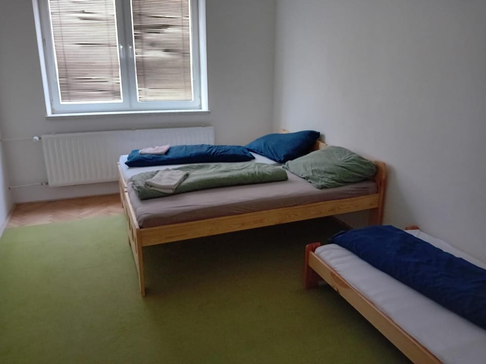 Holub apartment in city centrum Apartment in Brno