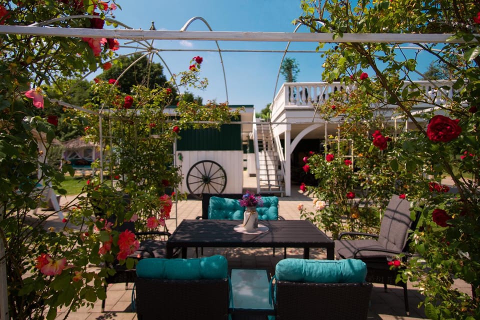 Restaurant/places to eat, Lounge or bar