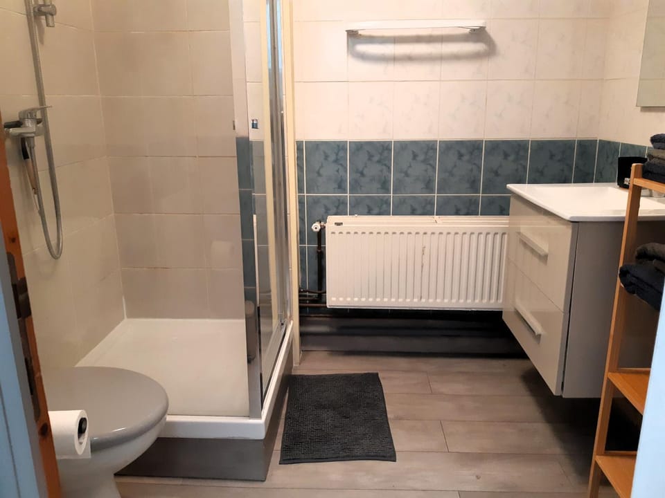 Shower, Toilet, Bathroom, towels