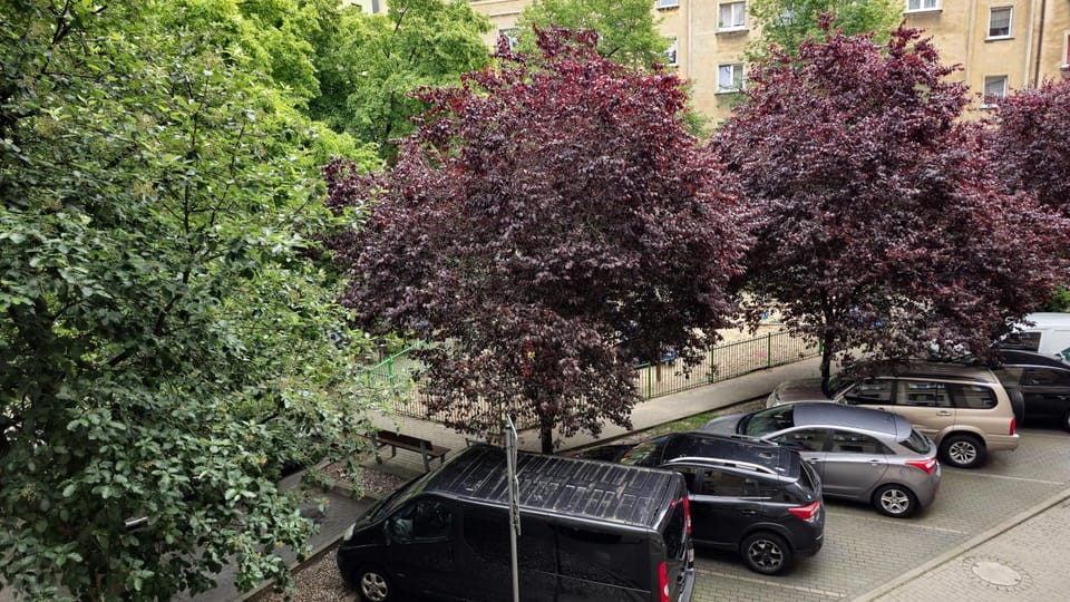 Natural landscape, Parking