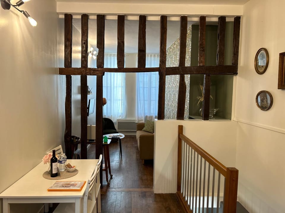 Cosy Vintage - Une bulle de fraîcheur Apartment in Troyes