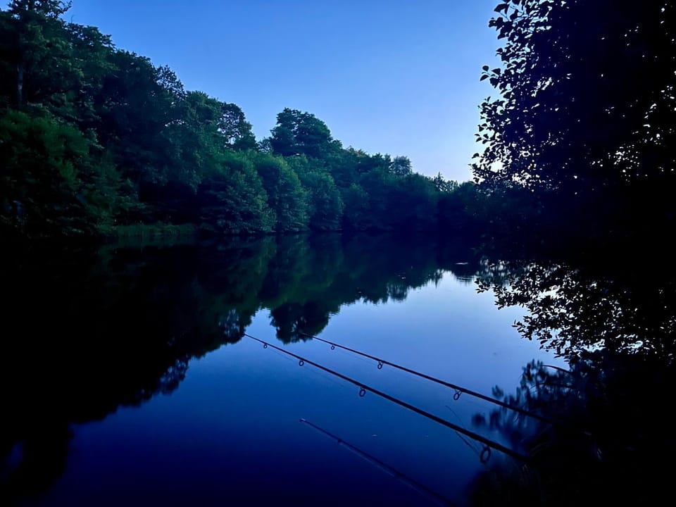 Lake view
