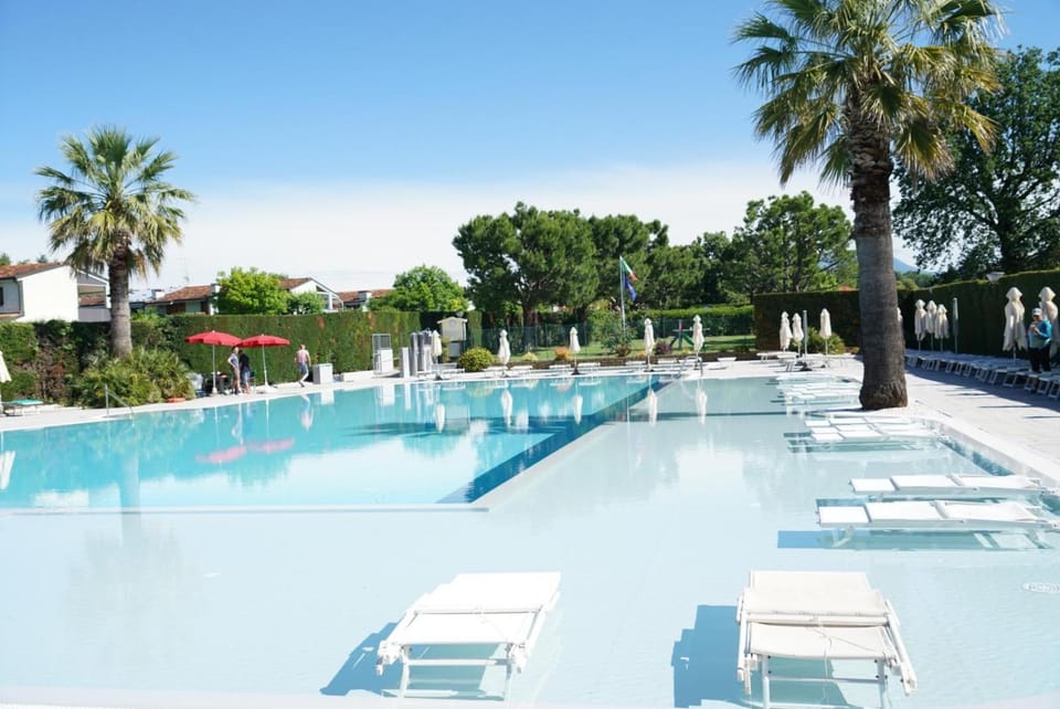Swimming pool, Swimming pool