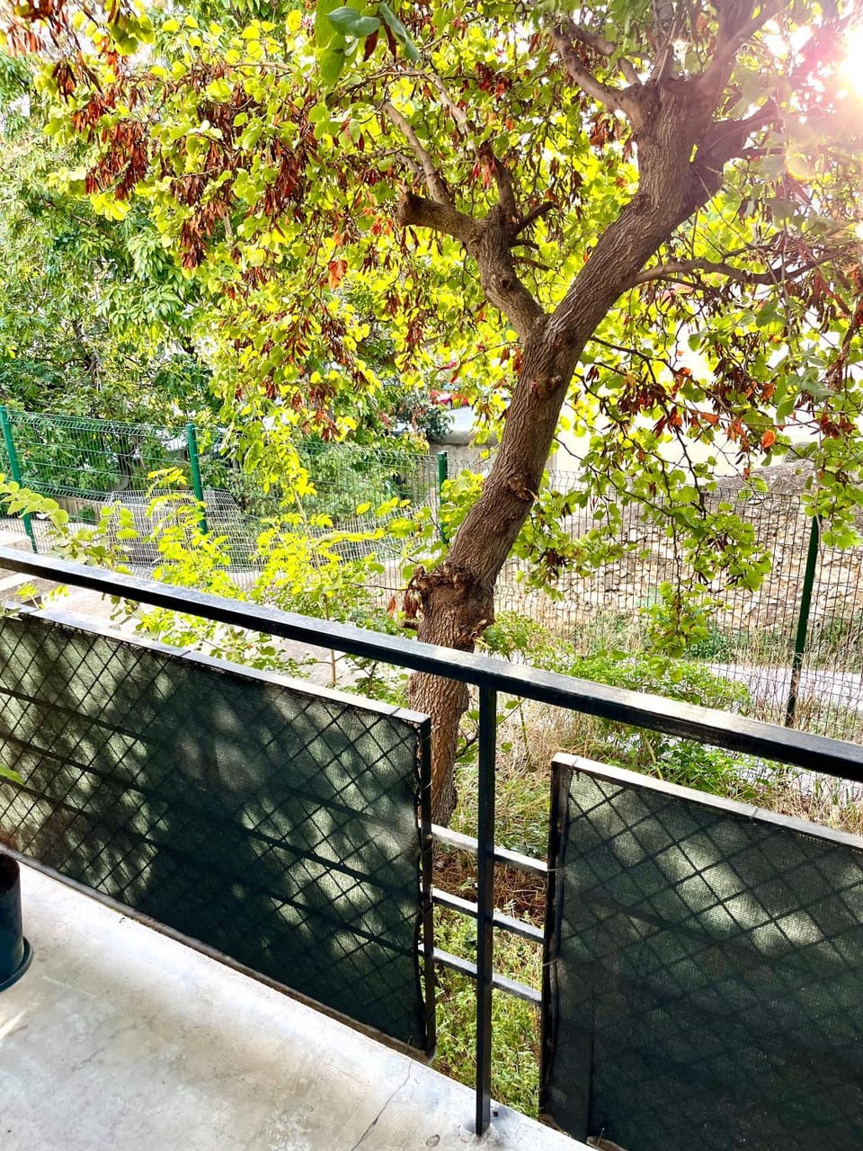 View (from property/room), Balcony/Terrace