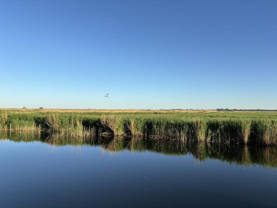 Natural landscape, River view